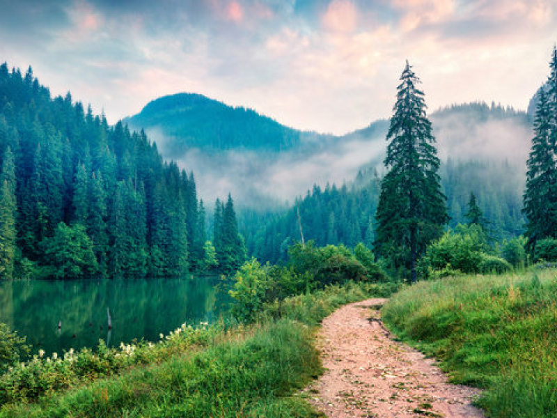 Image of a mountain path